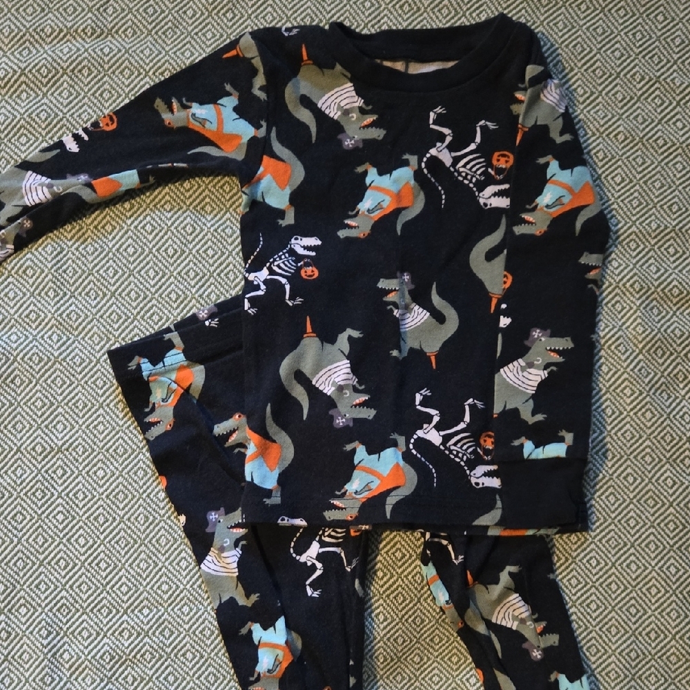 Dinosaur Print Kids Pajamas